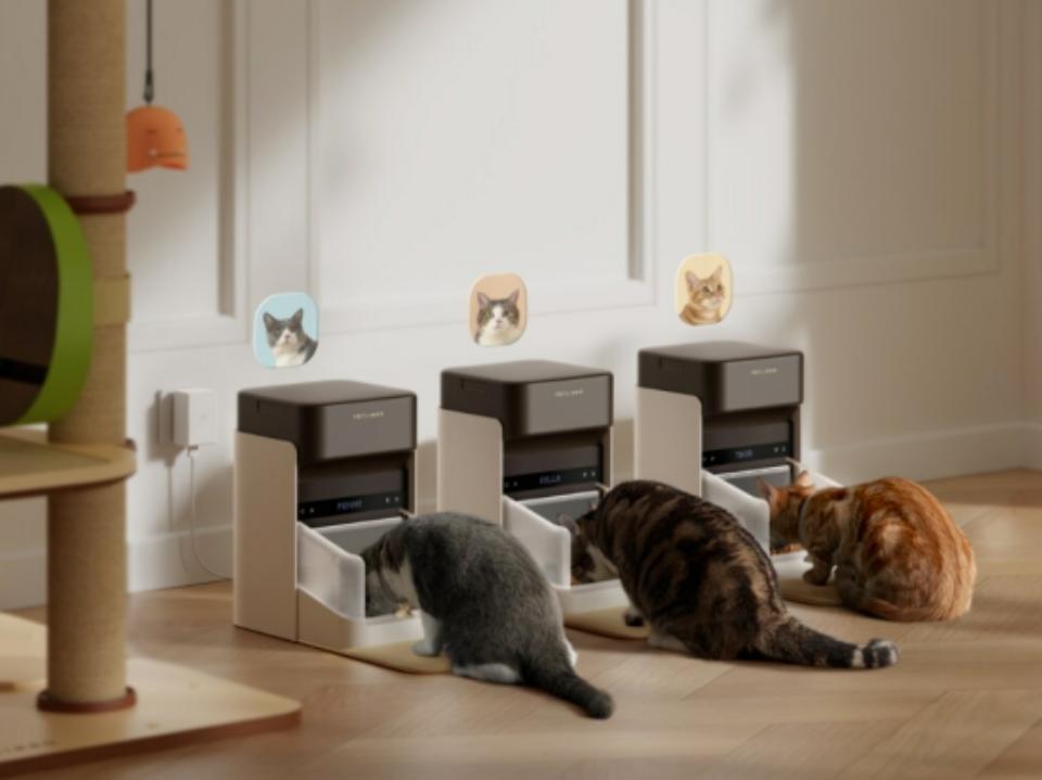 RFID pet feeder eliminates the need for dogs and cats to compete for food